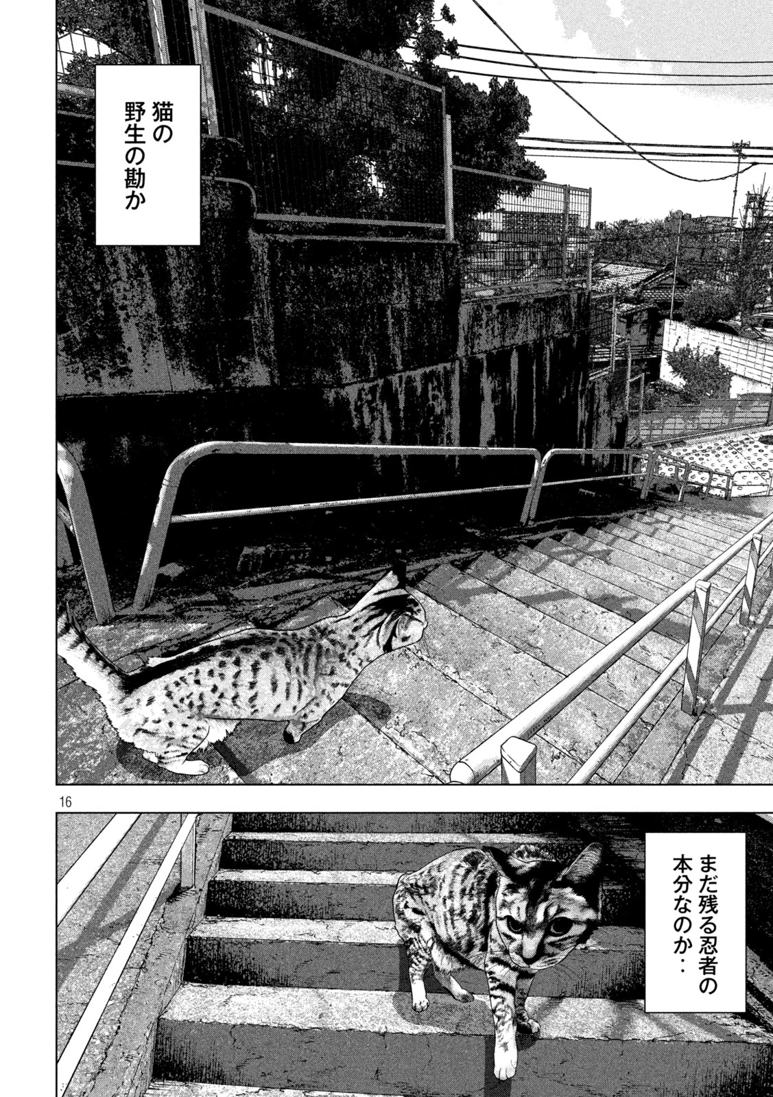 アンダーニンジャ 第162話 - 16