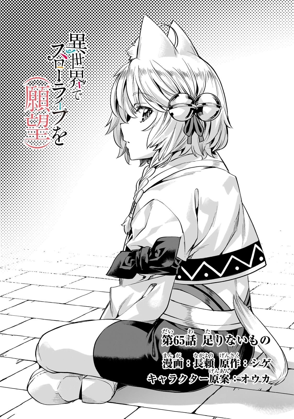 異世界でスローライフを(願望) 第65話 - 2