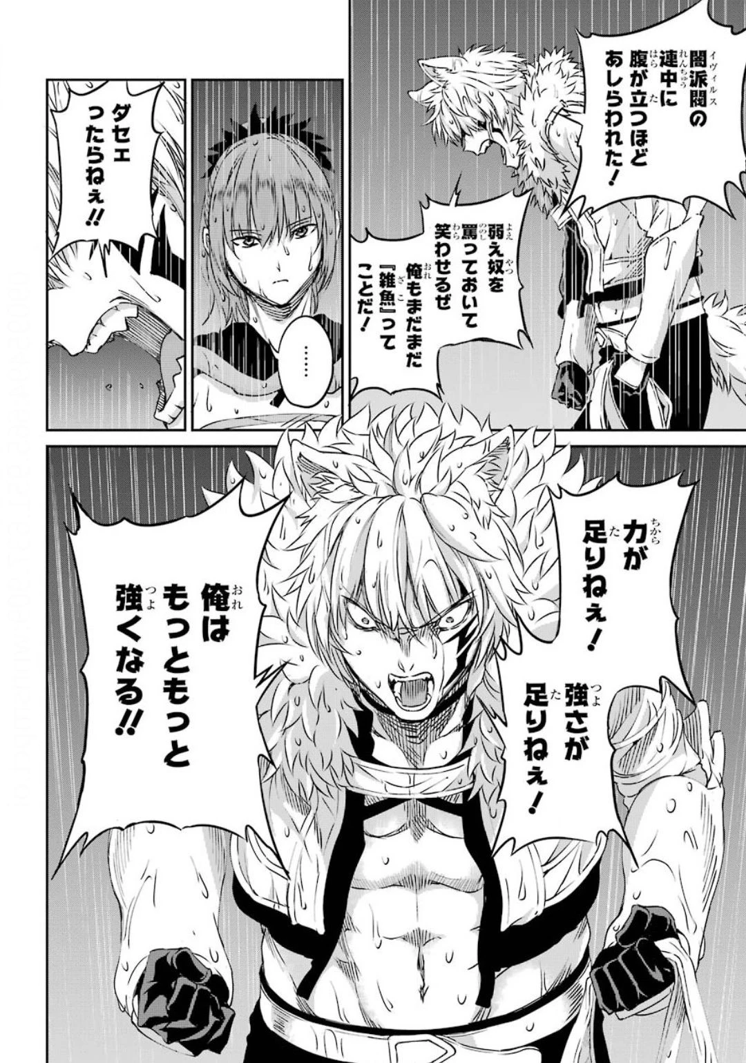 ダンジョンに出会いを求めるのは間違っているだろうか 外伝 ソード・オラトリア」ガンガン 第74話 - 18