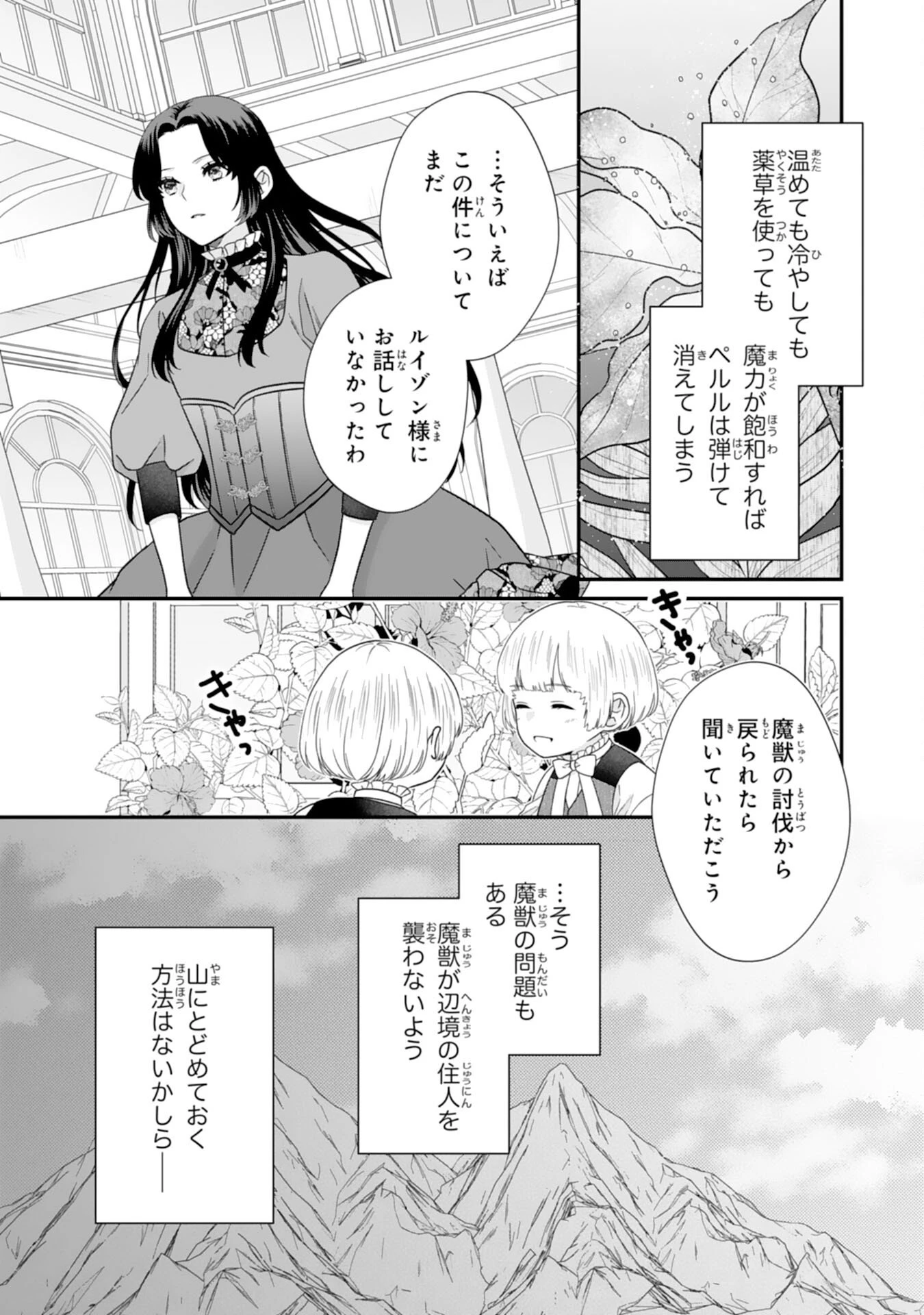 双子王子の継母になりまして～嫌われ悪女ですが、そんなことより義息子たちが可愛すぎて困ります～ 第14話 - 17