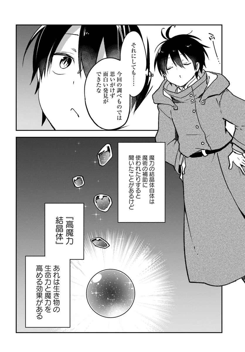 辺境ぐらしの魔王、転生して最強の魔術師になる 第43話 - 40