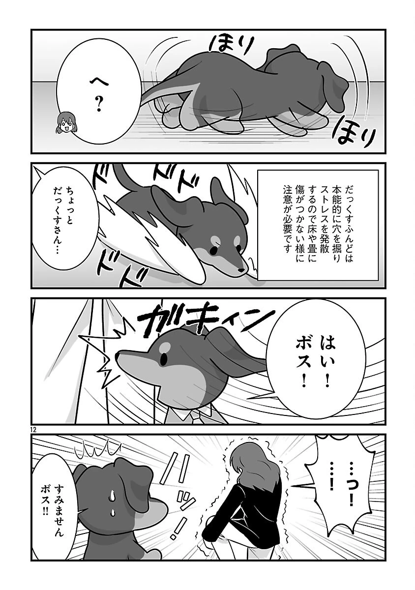 ヒショワン ～秘書は犬ですが何か？～ 第8話 - 14