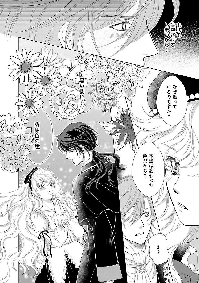 優しい婚約者の様子が変です〜お嬢様は黒髪の魔法使いに恋をする〜 第13話 - 18