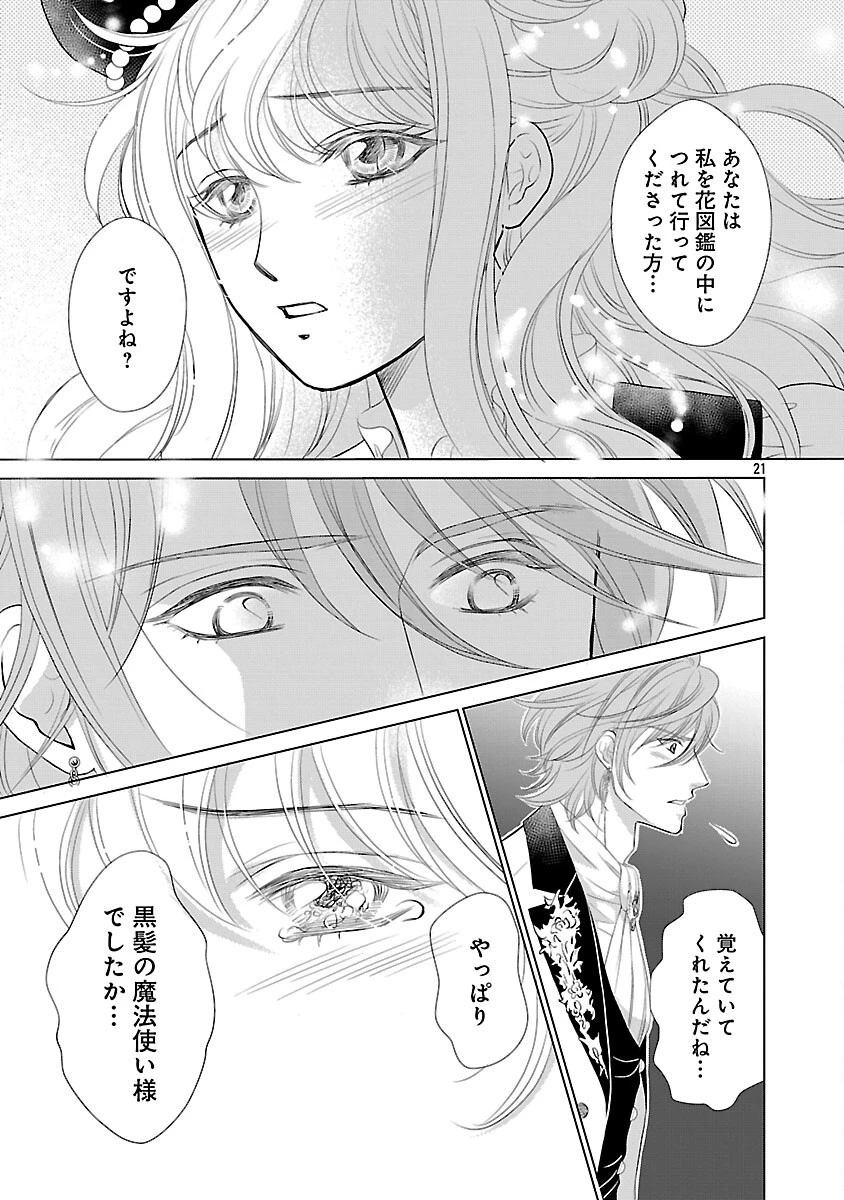 優しい婚約者の様子が変です〜お嬢様は黒髪の魔法使いに恋をする〜 第13話 - 19