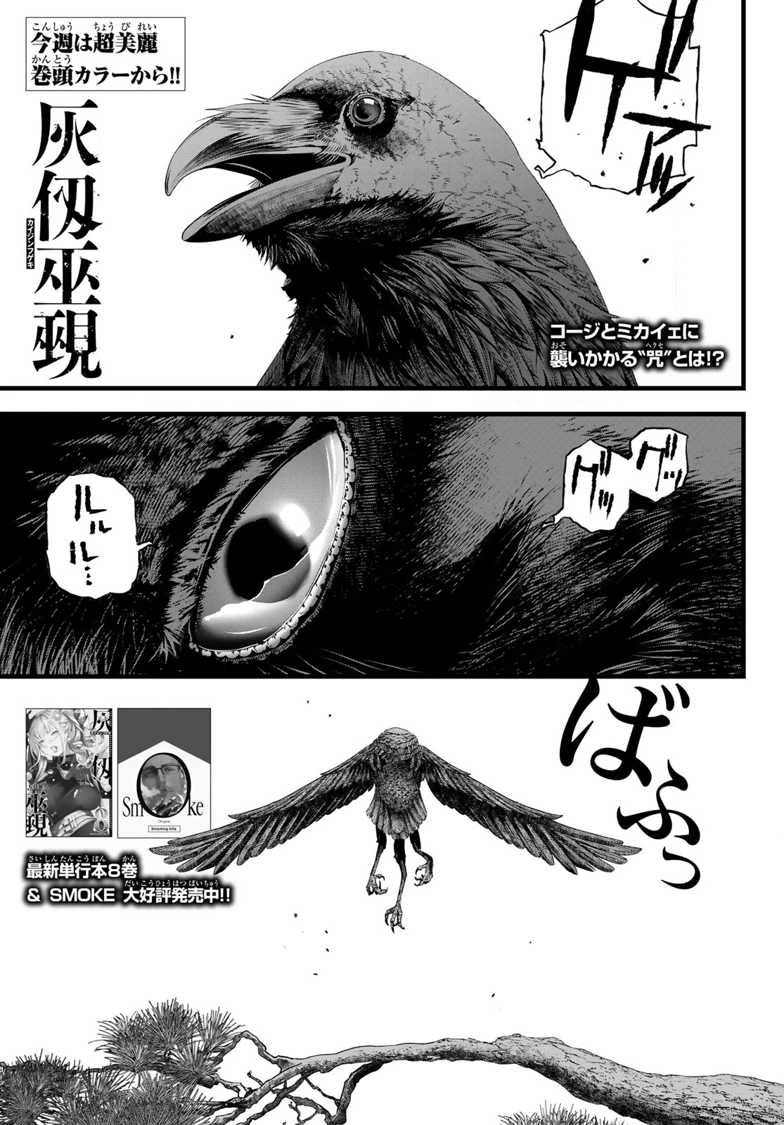 灰仭巫覡 第78話 - 3