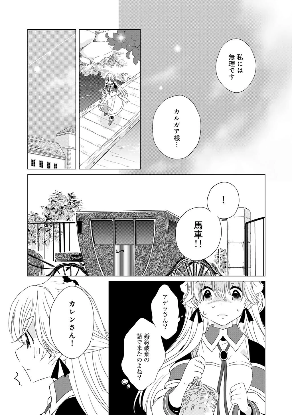 チートで家庭菜園～多分私が精霊姫だけど、他に名乗り出た者がいるので、家庭菜園しちゃいます～ 第17話 - 15