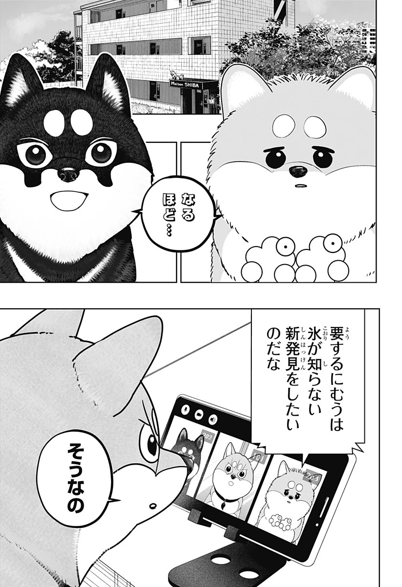 シバつき物件 第49話 - 13