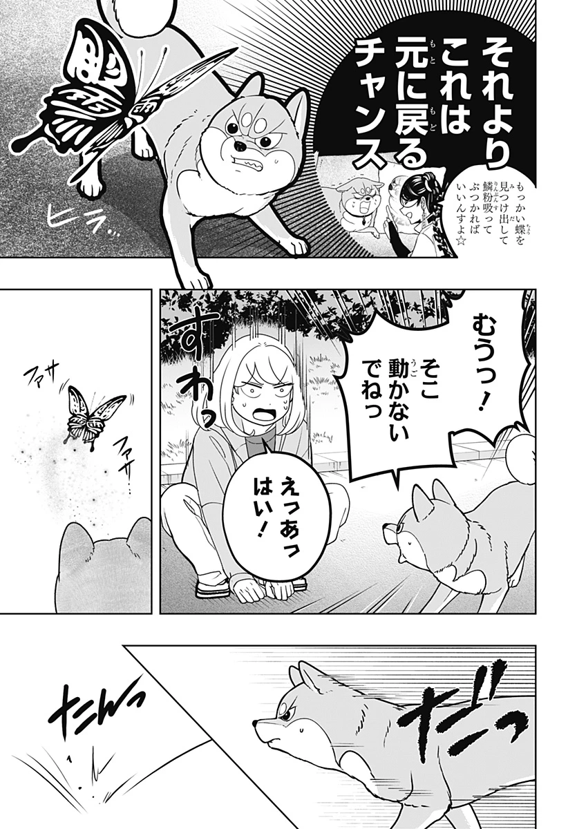 シバつき物件 第45話 - 22