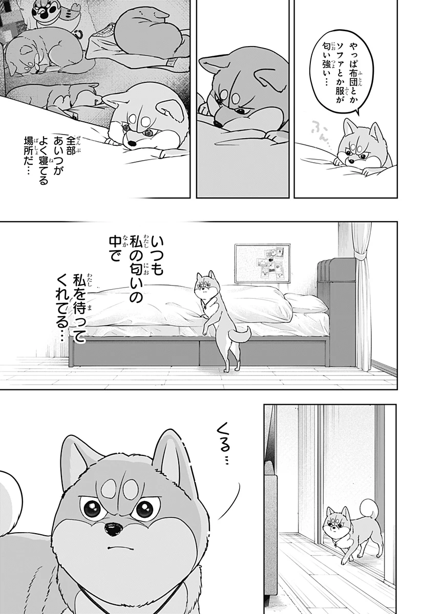 シバつき物件 第44話 - 25
