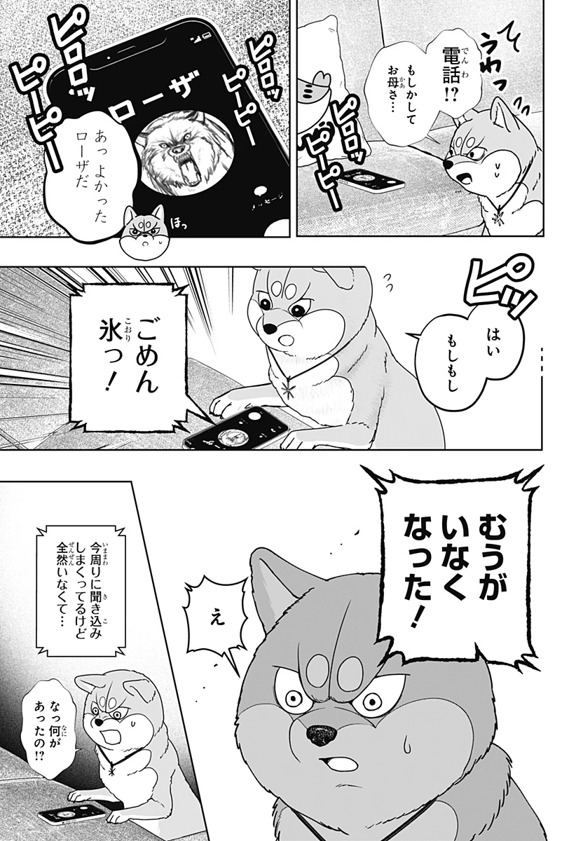 シバつき物件 第44話 - 29
