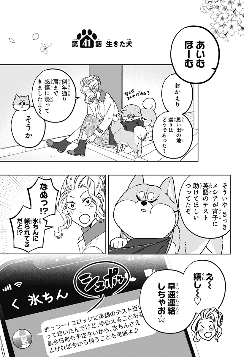 シバつき物件 第41話 - 5