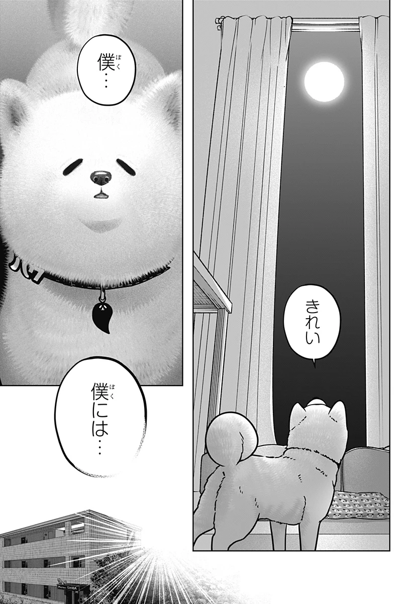 シバつき物件 第39話 - 7