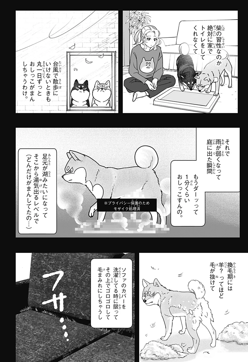 シバつき物件 第41話 - 16