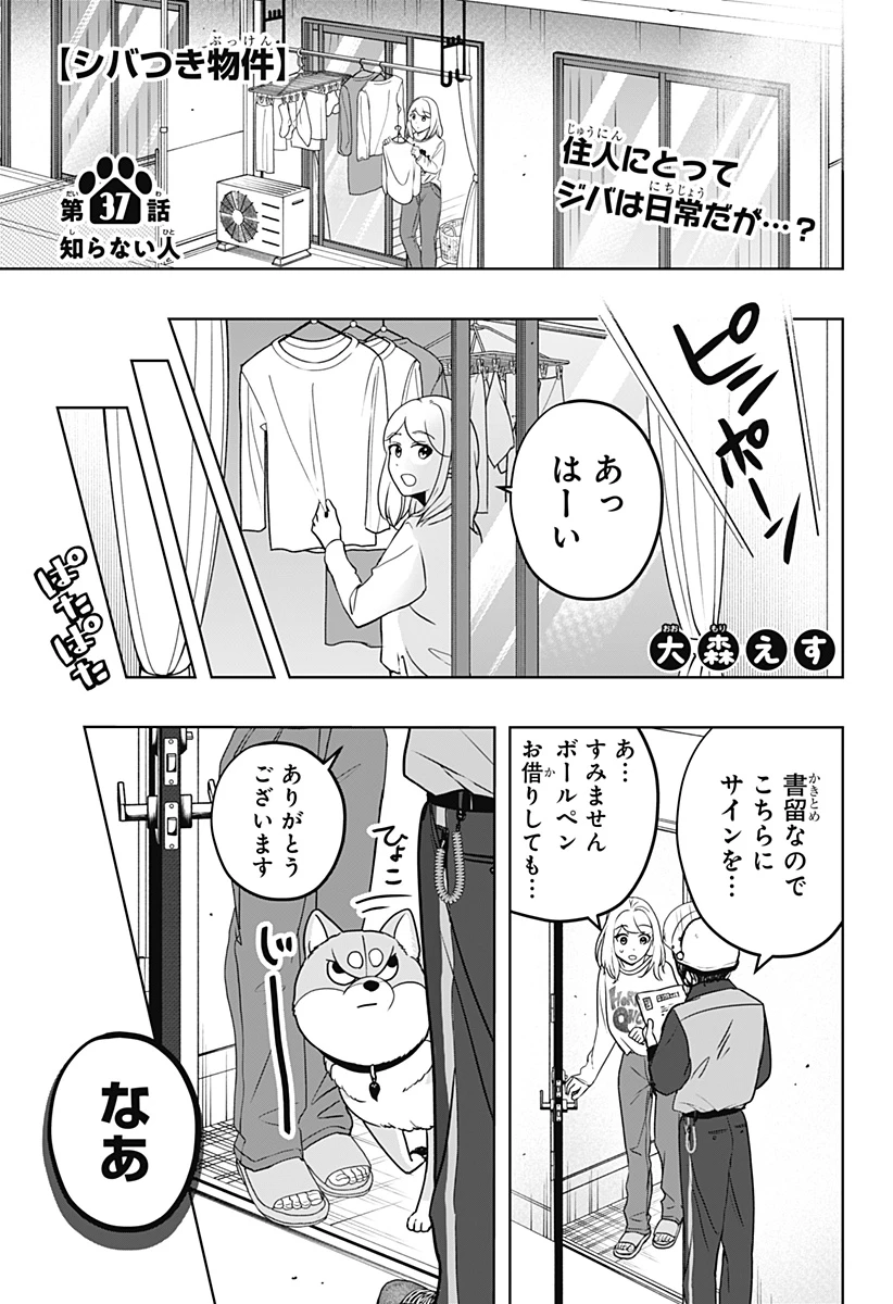 シバつき物件 第37話 - 1