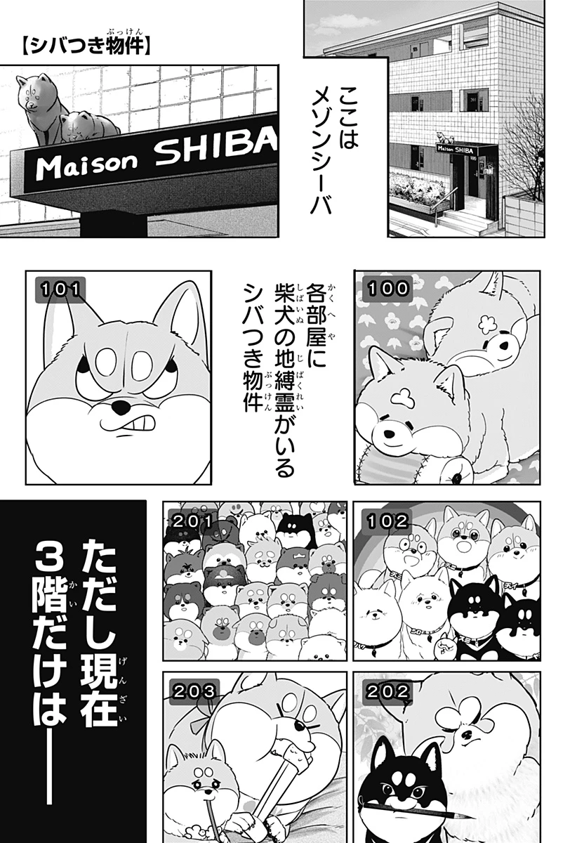 シバつき物件 第24話 - 1