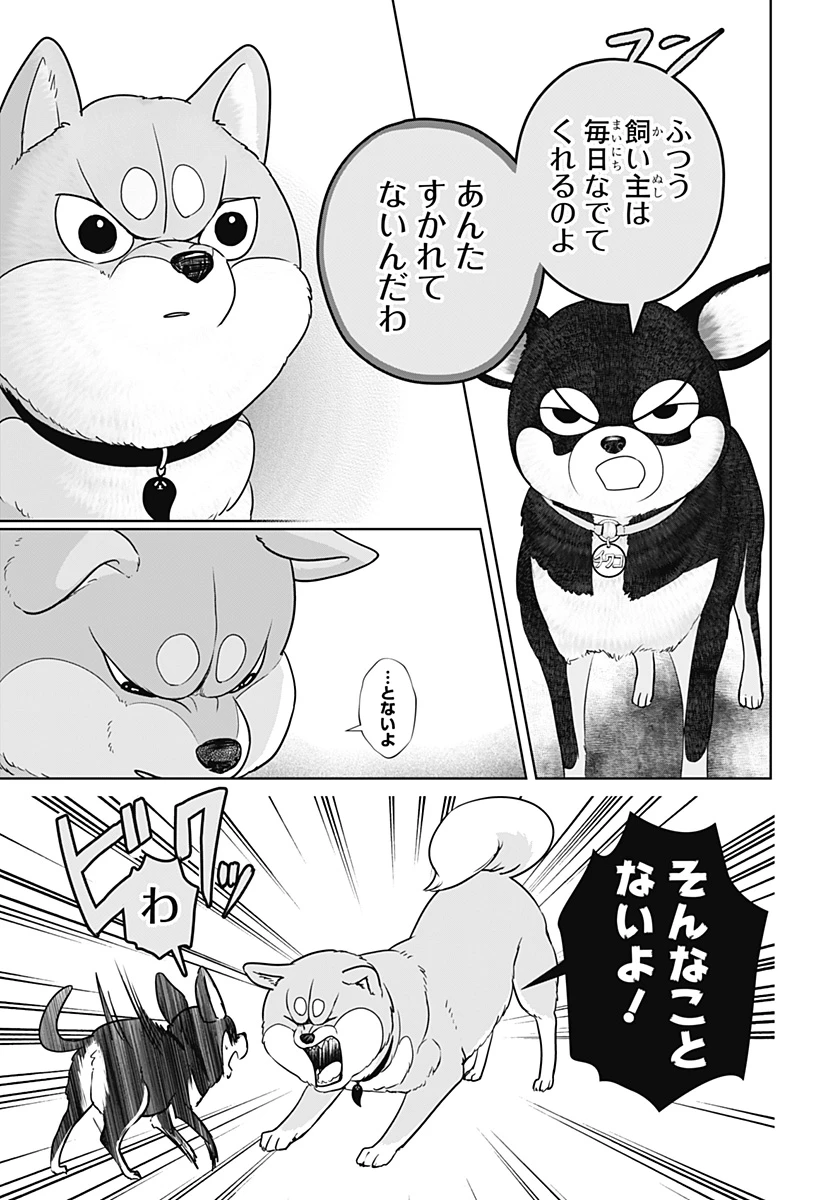 シバつき物件 第21話 - 11