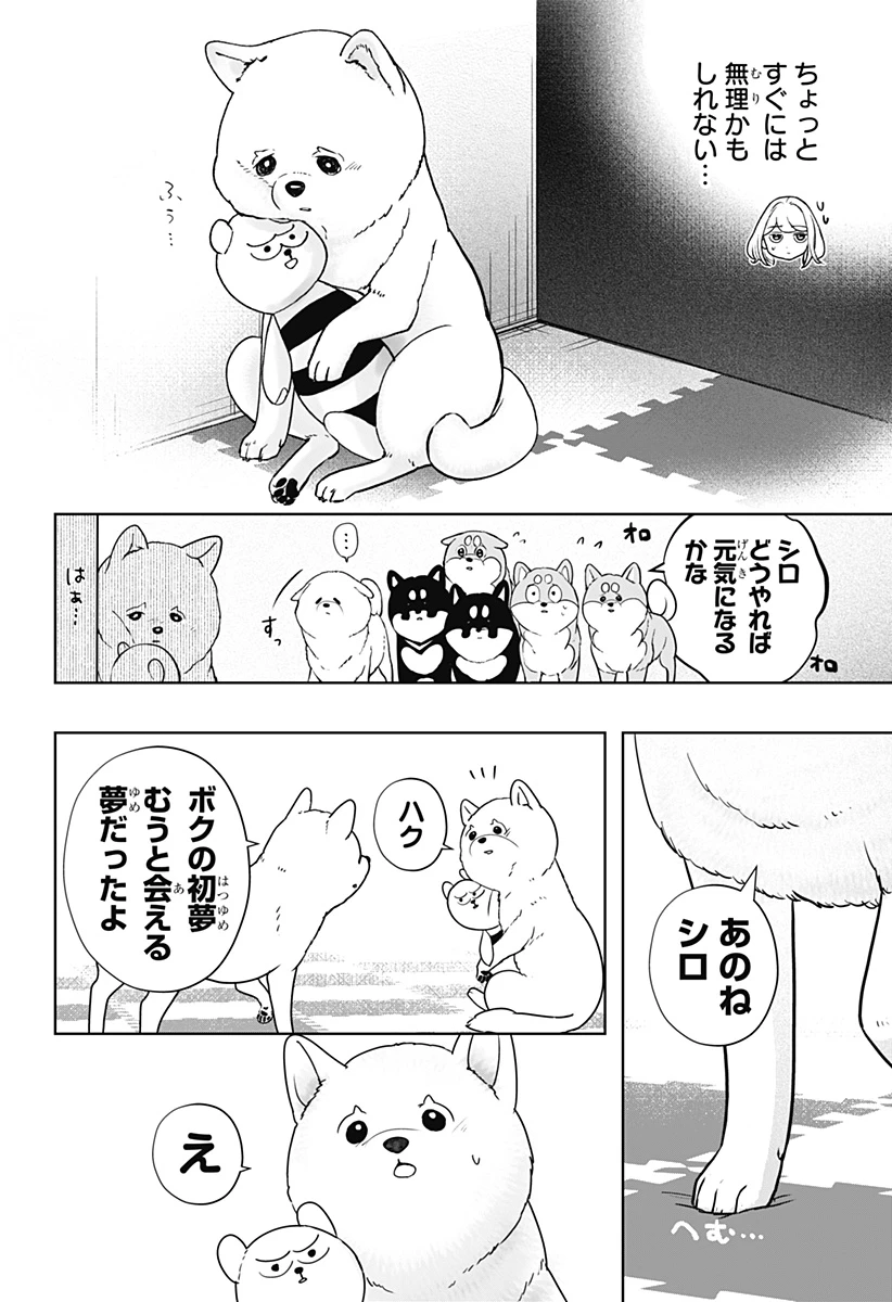 シバつき物件 第17話 - 12