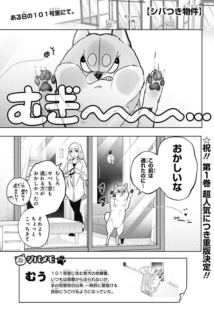 シバつき物件 第11話 - 1