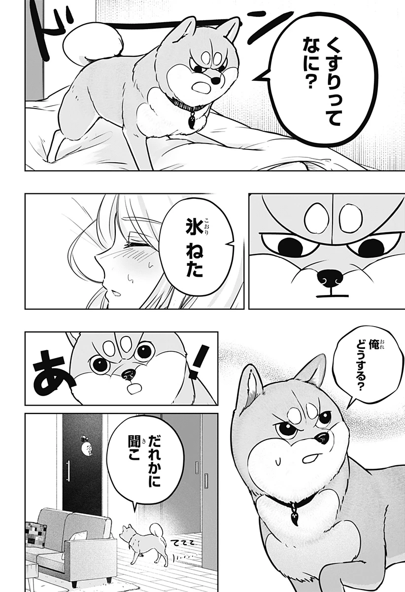 シバつき物件 第11話 - 6