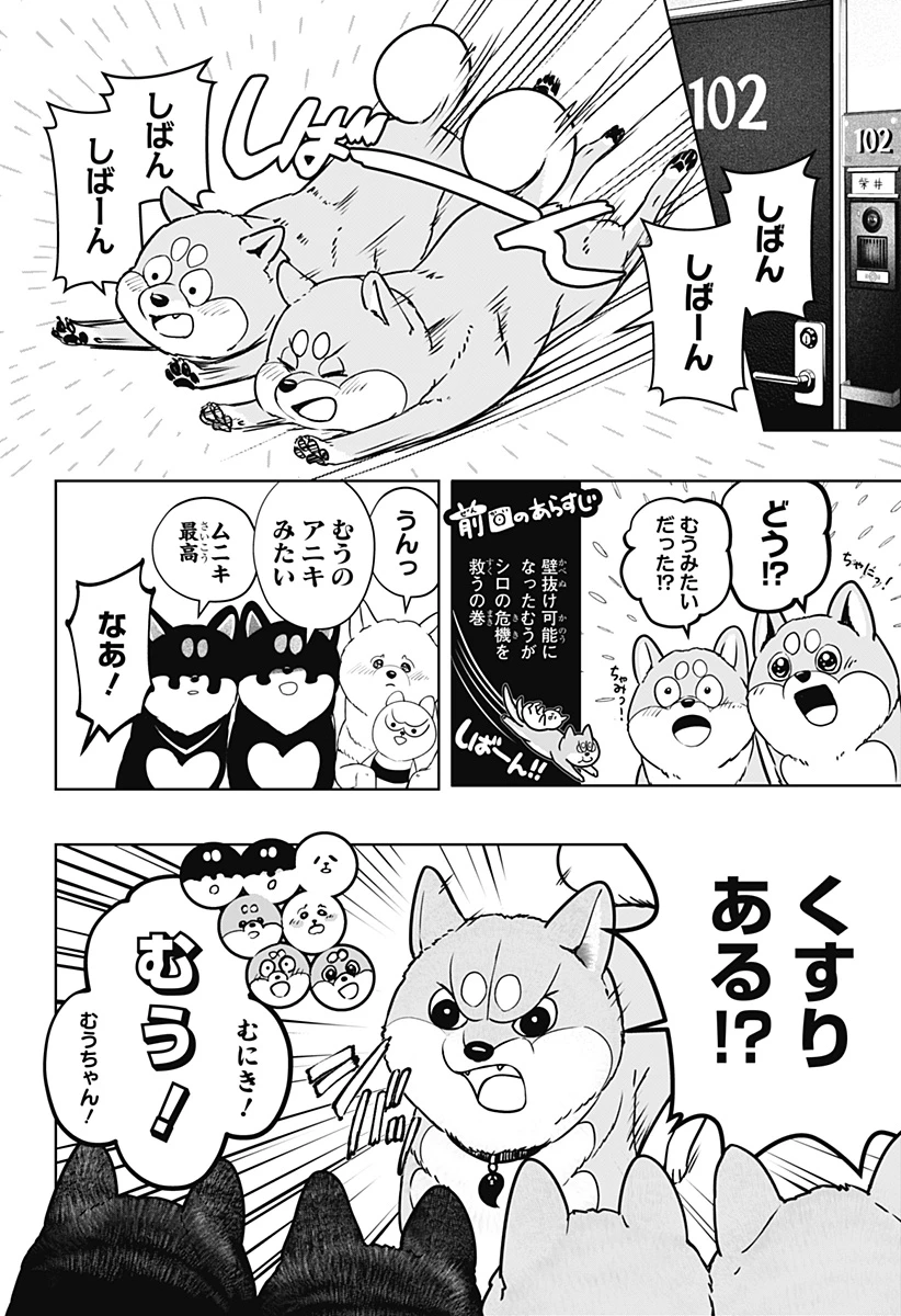 シバつき物件 第11話 - 8