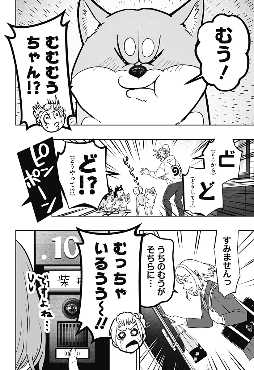シバつき物件 第10話 - 8