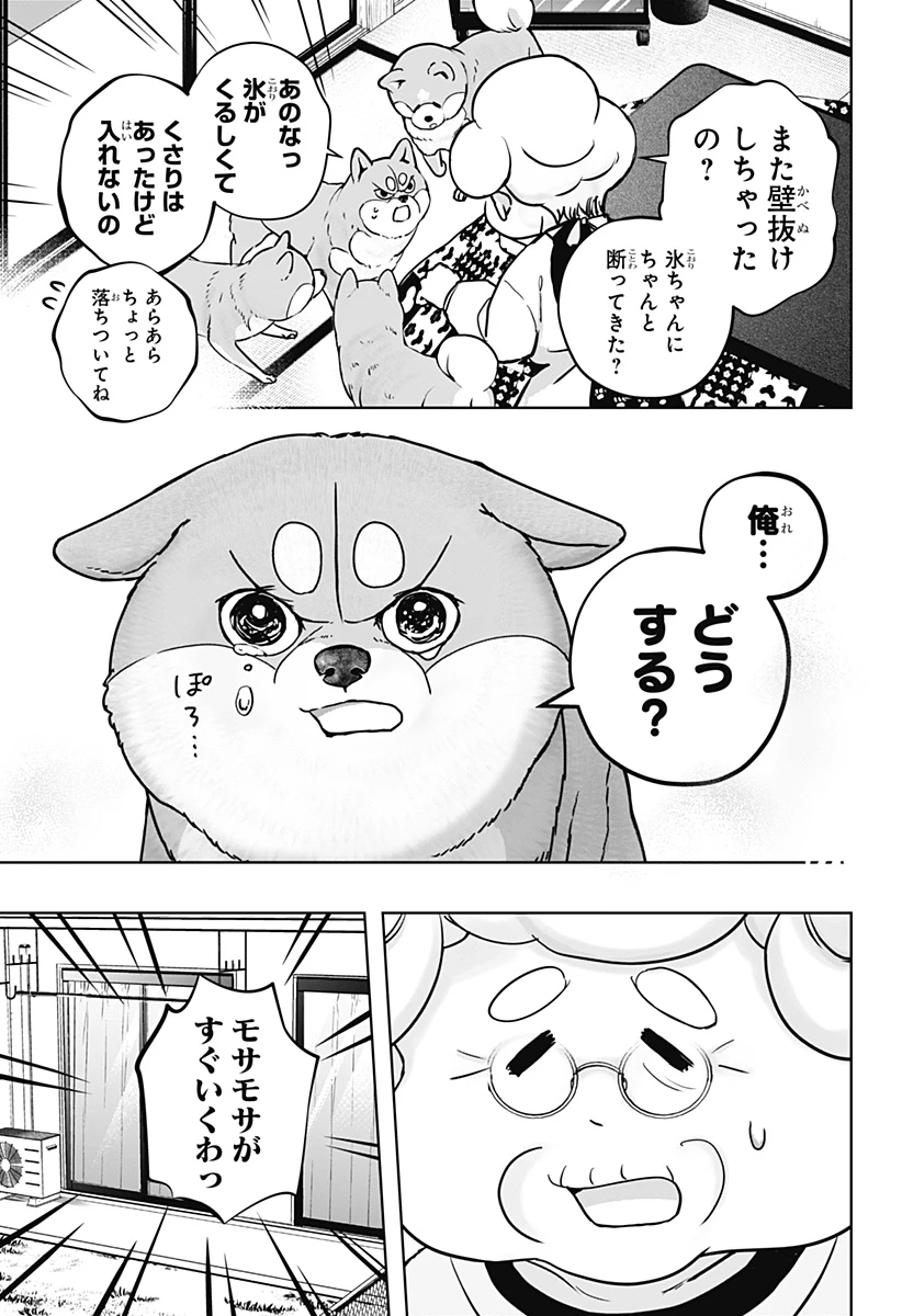 シバつき物件 第11話 - 21