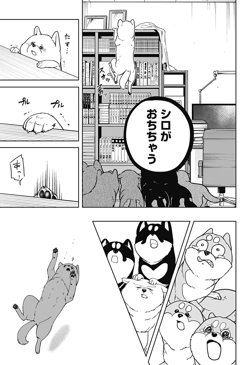 シバつき物件 第10話 - 23