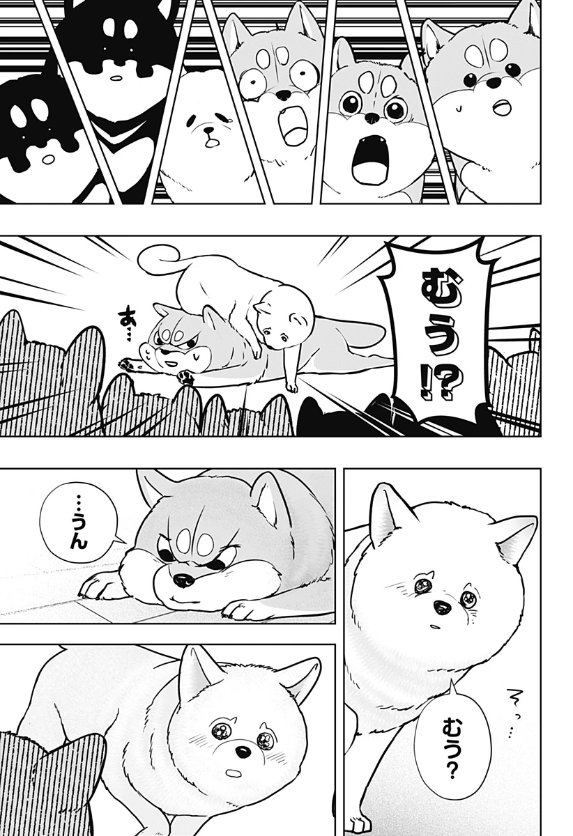 シバつき物件 第10話 - 25