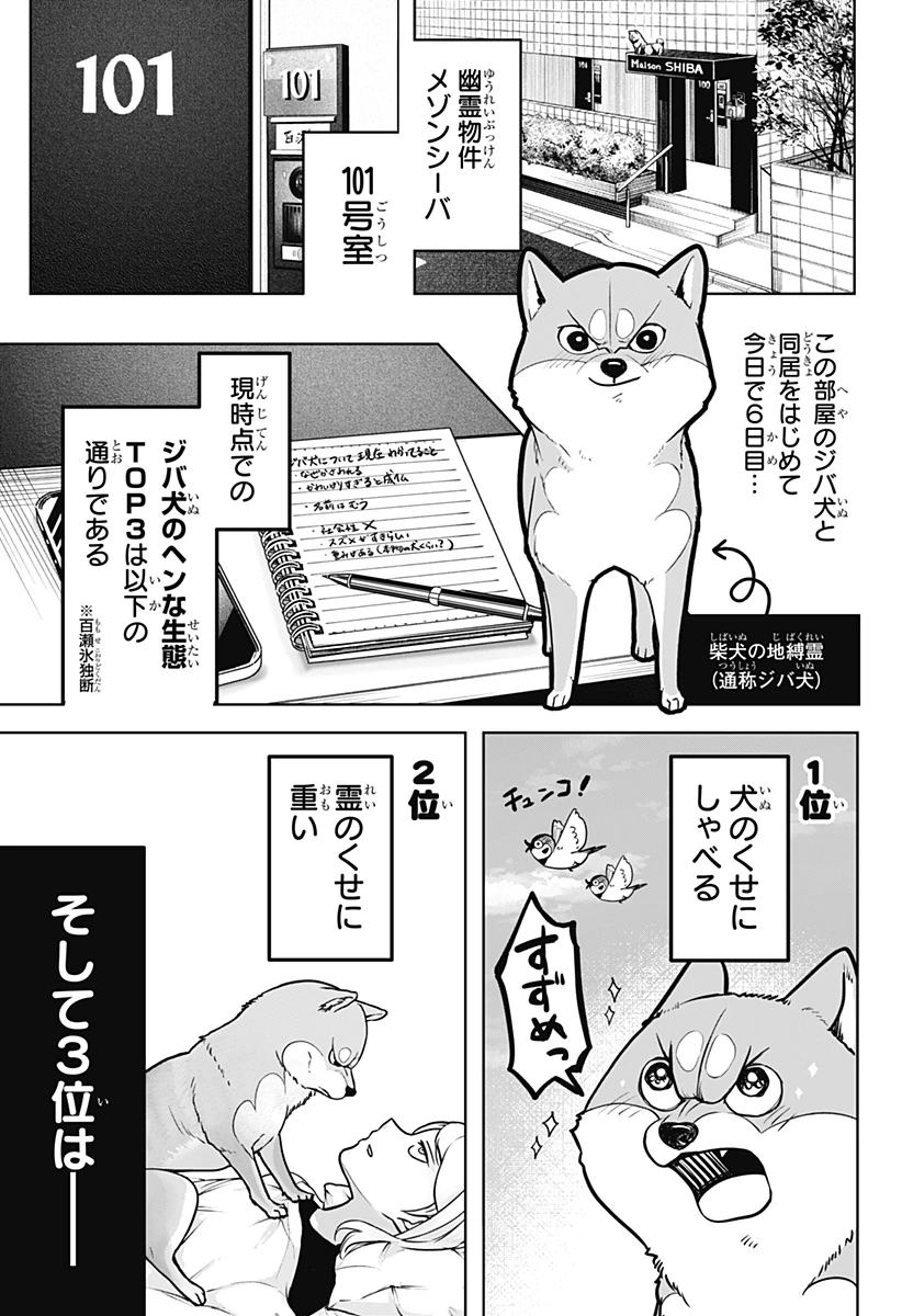 シバつき物件 第3話 - 1