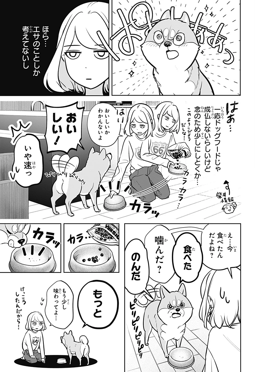 シバつき物件 第3話 - 19