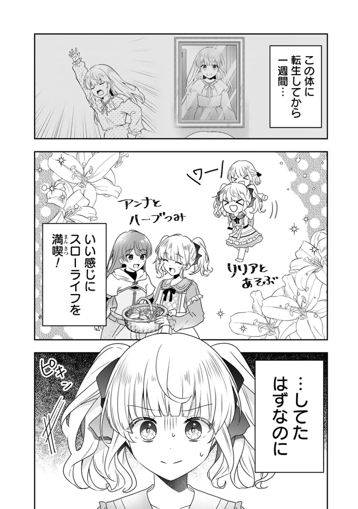転生聖女は引きこもりスローライフを目指したい！ ～規格外の魔力？ 伝説の聖女の再来！？ 人違いなので放っておいて下さい！～ 第2話 - 2