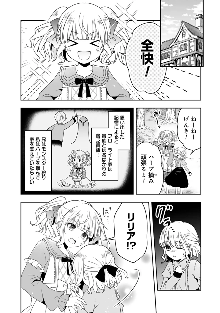 転生聖女は引きこもりスローライフを目指したい！ ～規格外の魔力？ 伝説の聖女の再来！？ 人違いなので放っておいて下さい！～ 第1話 - 12