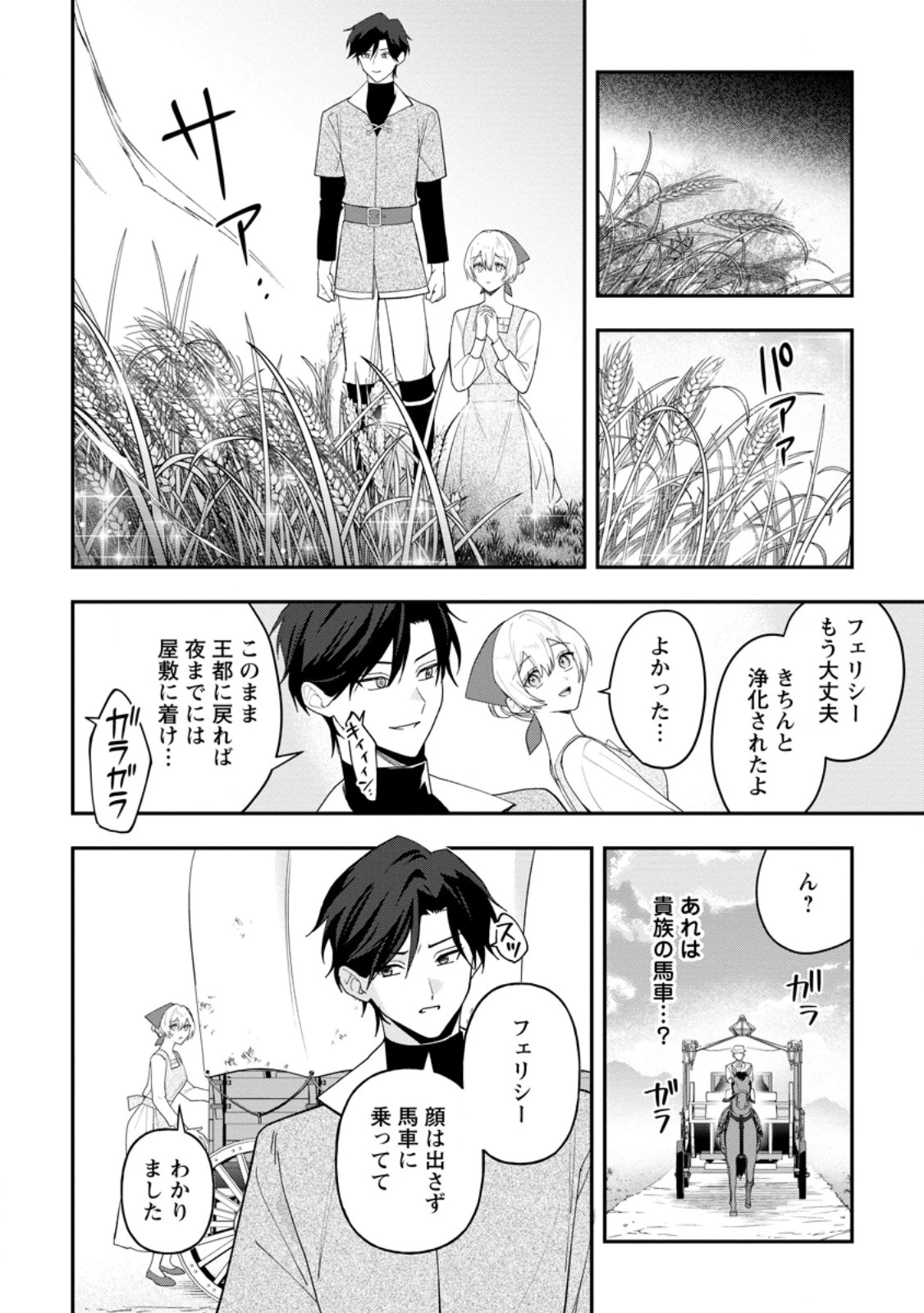 冴えない加護持ち令嬢、孤高の王子様に見初められる～美貌の妹に言いなりの家族を捨てたら、真の能力が開花しました～ 第11話 - 8