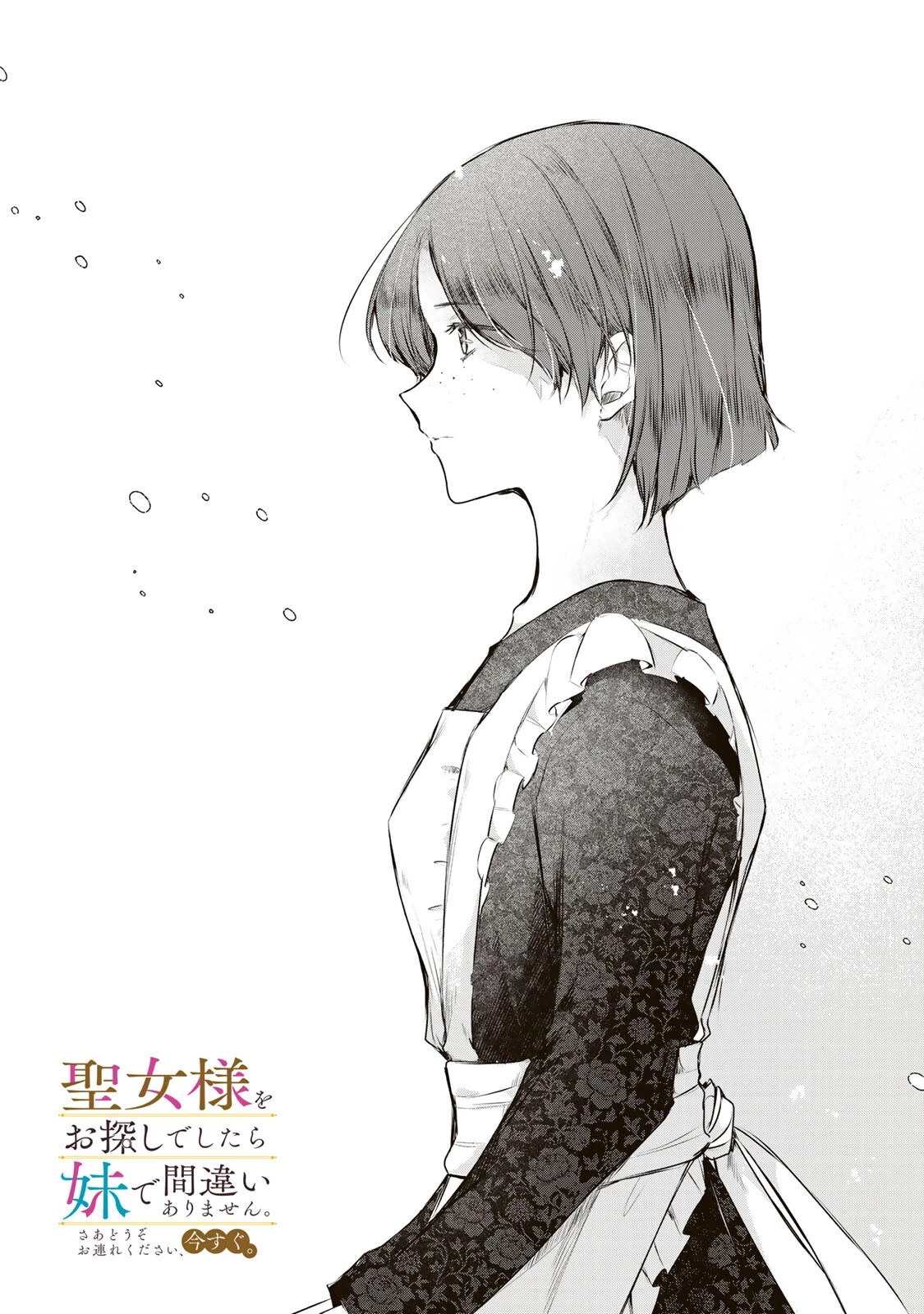 聖女様をお探しでしたら妹で間違いありません。さあどうぞお連れください、今すぐ。 第44話 - 1