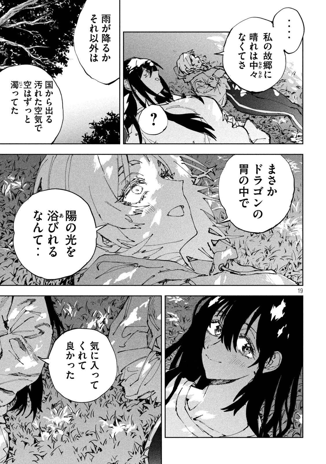 ドラゴンの胃でおやすみ 第14話 - 19