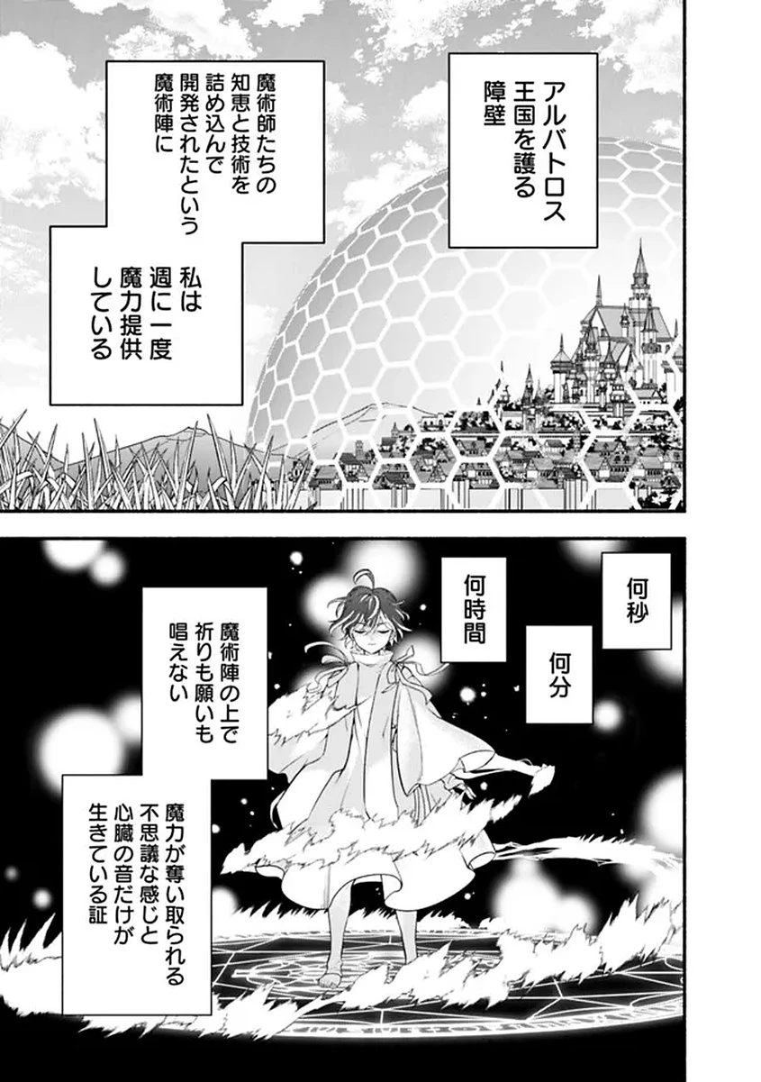 魔力量歴代最強な転生聖女さまの学園生活は波乱に満ち溢れているようです ～王子さまに悪役令嬢とヒロインぽい子たちがいるけれど、ここは乙女ゲー世界ですか?～ 第1話 - 23