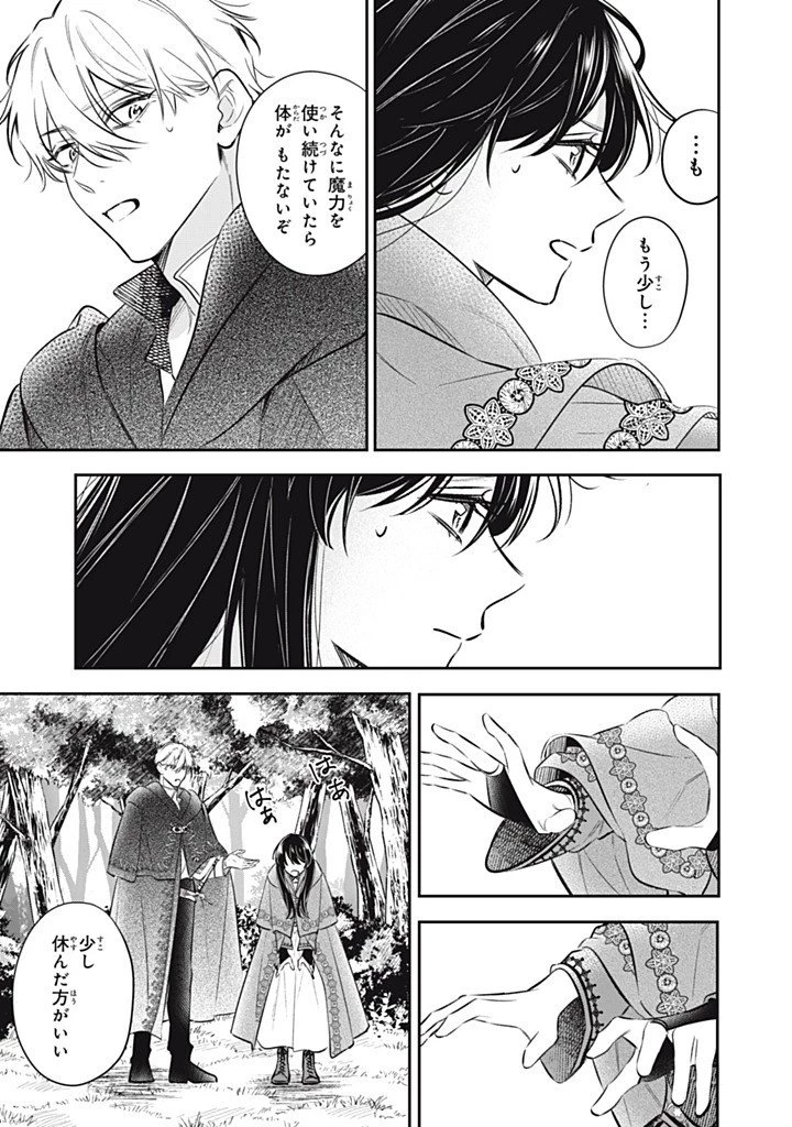 婚約破棄されたので、好きにすることにした。 第23話 - 9