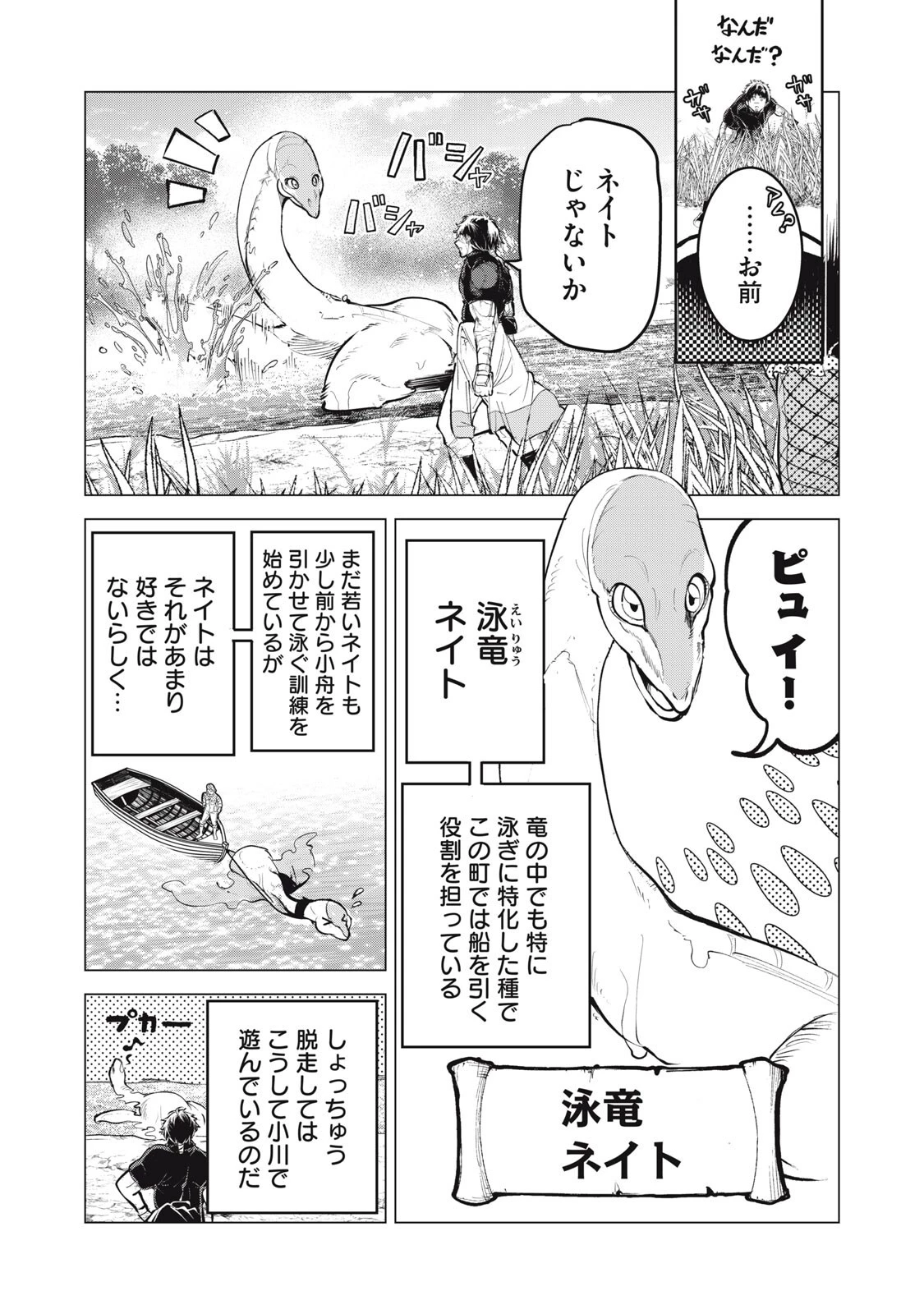 国を追われた竜師さん、拾われた隣国でうっかり無双してしまう。〜弱小国家が大陸最強の竜の楽園になるまで〜 第43話 - 6