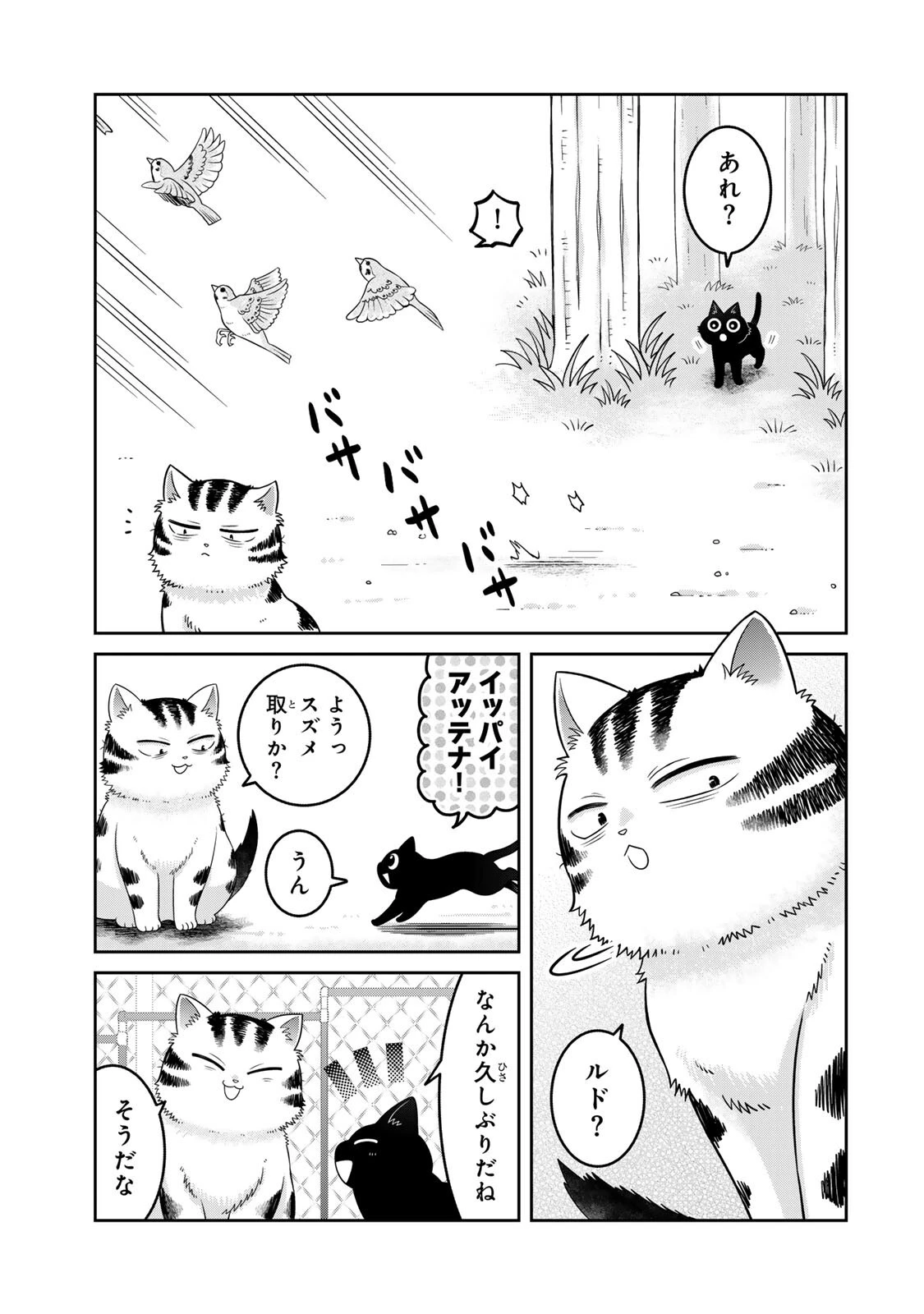 ルドルフとイッパイアッテナ 第7話 - 5