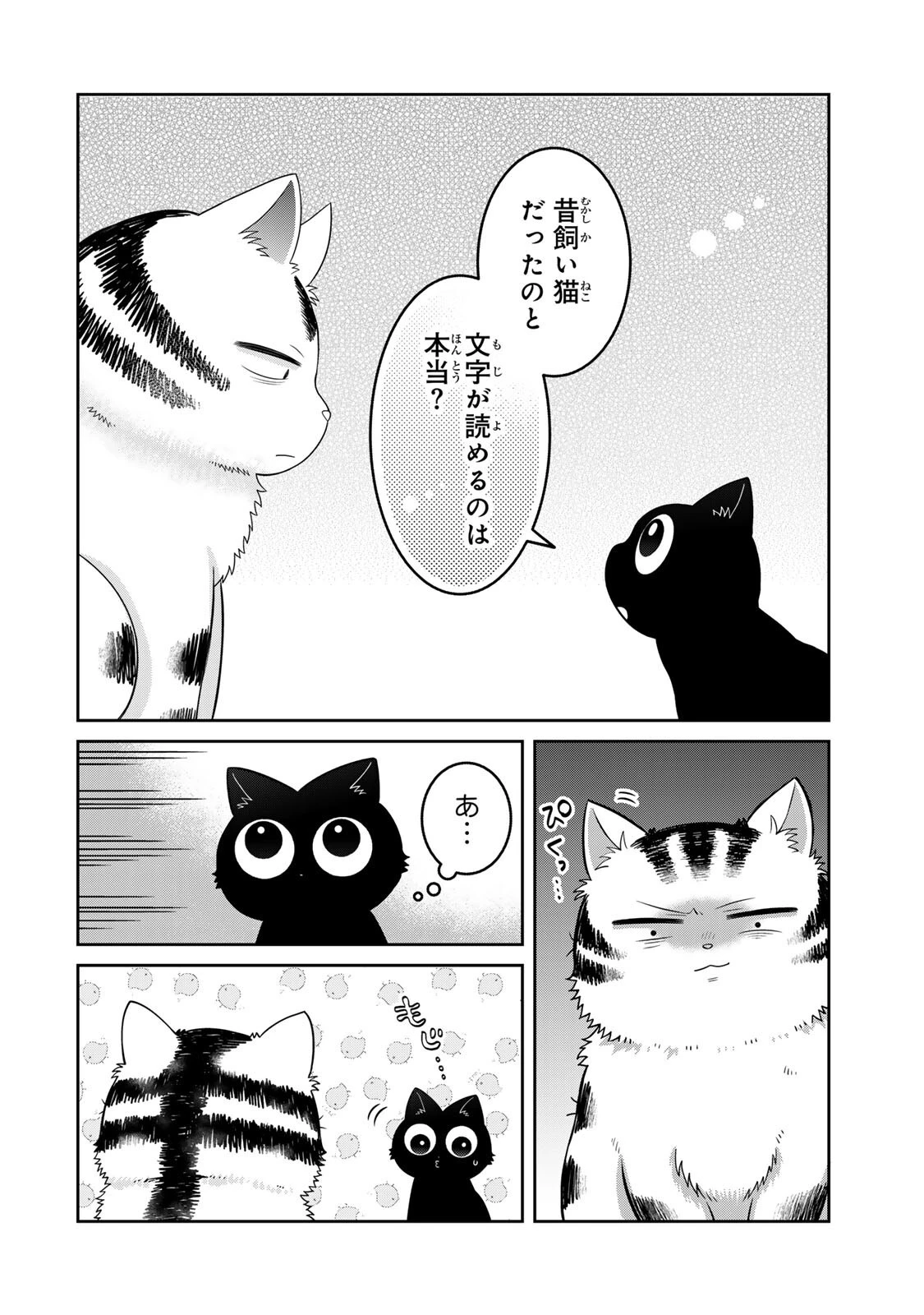 ルドルフとイッパイアッテナ 第7話 - 10