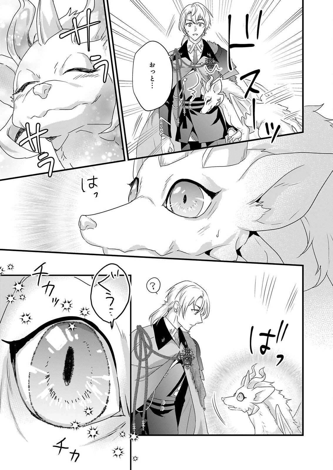 追放されたドラゴン好き令嬢は、北方辺境伯の愛に気づかない 第6話 - 9