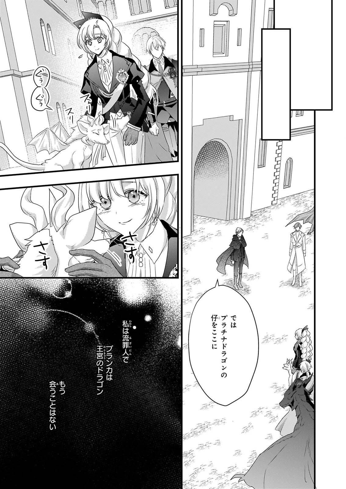 追放されたドラゴン好き令嬢は、北方辺境伯の愛に気づかない 第6話 - 17
