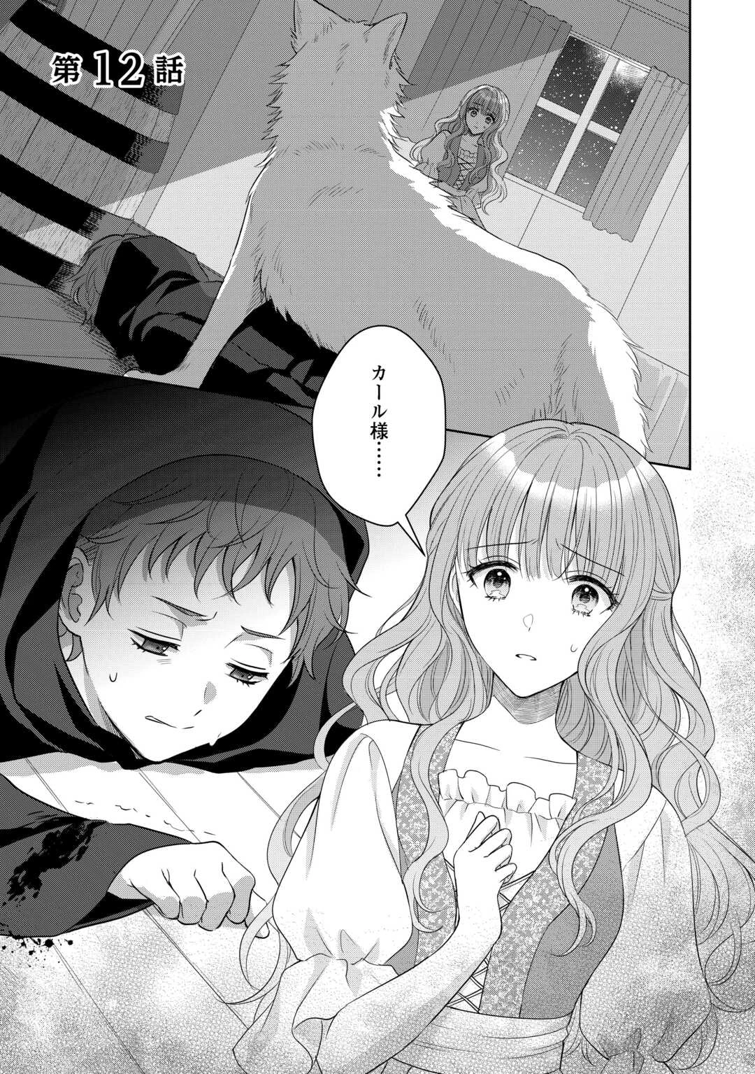 元仔狼の冷徹国王陛下に溺愛されて困っています! 第12話 - 1