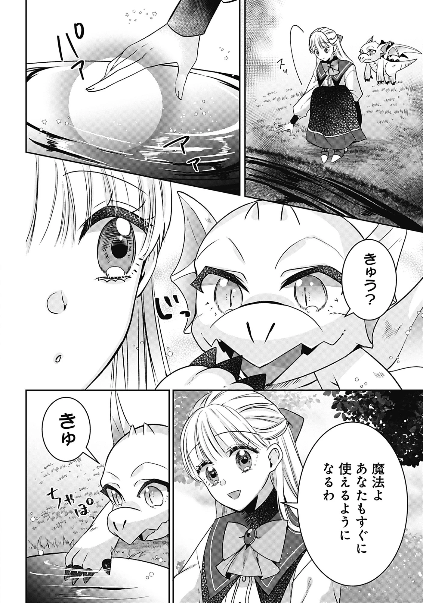 籠のなかの竜聖女 -虐げられた伯爵令嬢は、今日も溺愛されています- 第20話 - 4