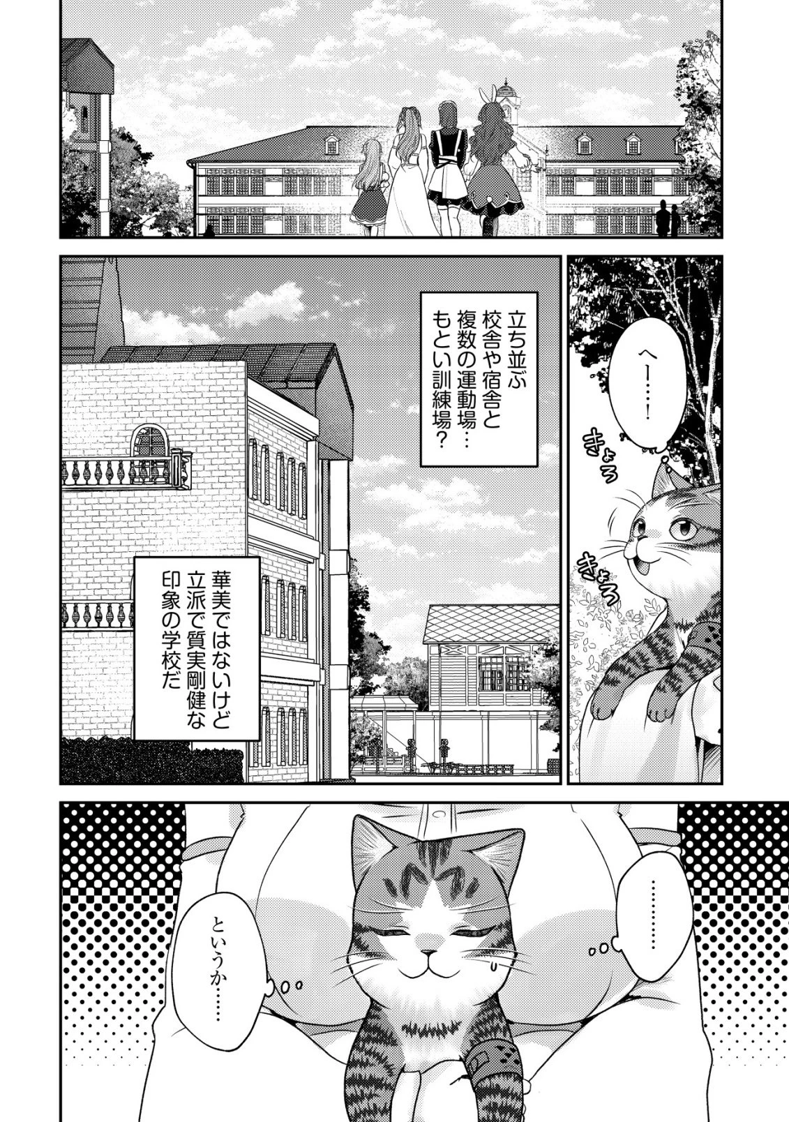 我輩は猫魔導師である～キジトラ・ルークの快適チート猫生活～ 第32話 - 18