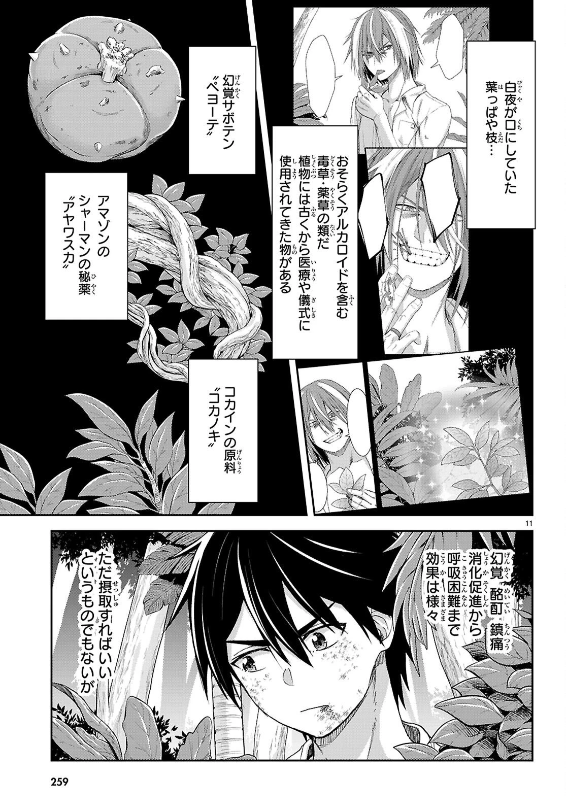 異世界ゆるっとサバイバル生活 ～学校の皆と異世界の無人島に転移したけど俺だけ楽勝です～ 第57話 - 11