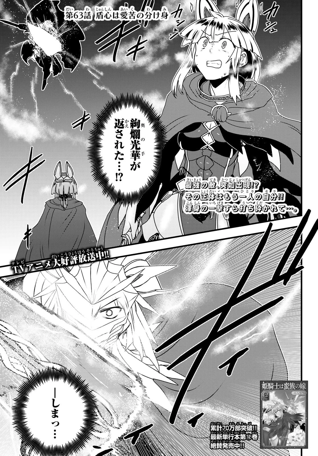 姫騎士は蛮族の嫁 第63話 - 3