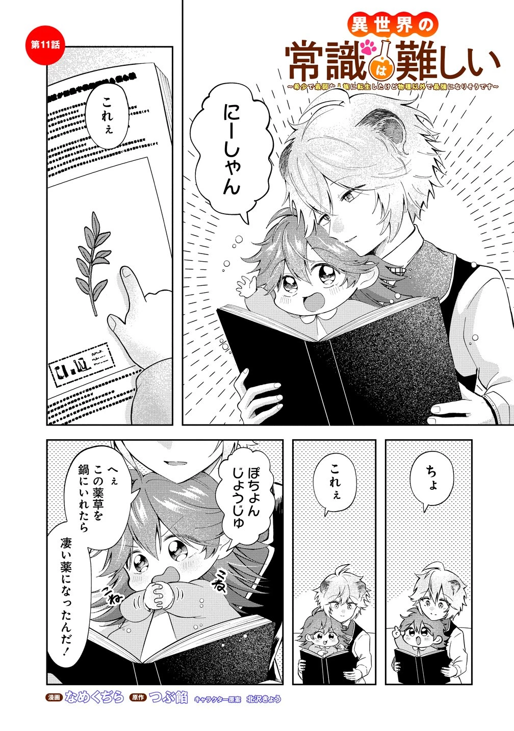 異世界の常識は難しい～希少で最弱な人族に転生したけど物理以外で最強になりそうです～ 第11話 - 1