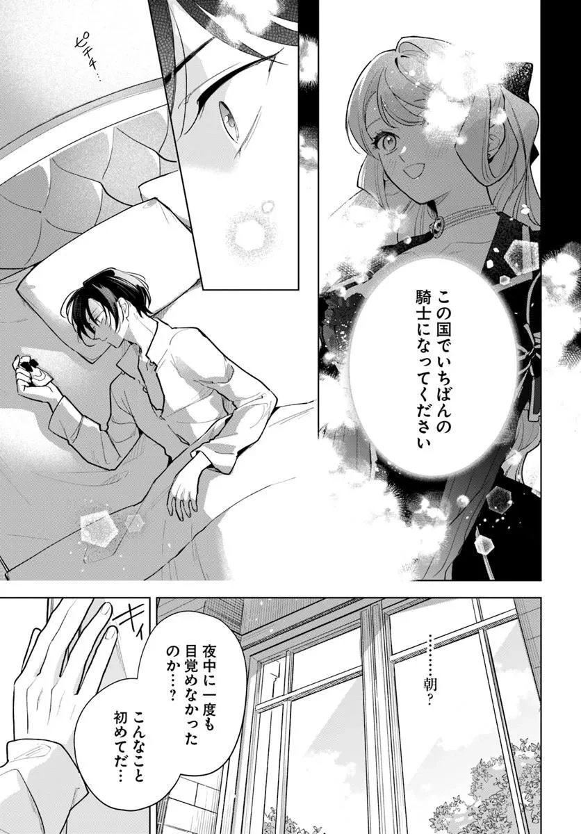 わたくしに恋してください! ～ループ二回目の悪役令嬢ですが破滅回避のため誘惑します～ 第10話 - 9