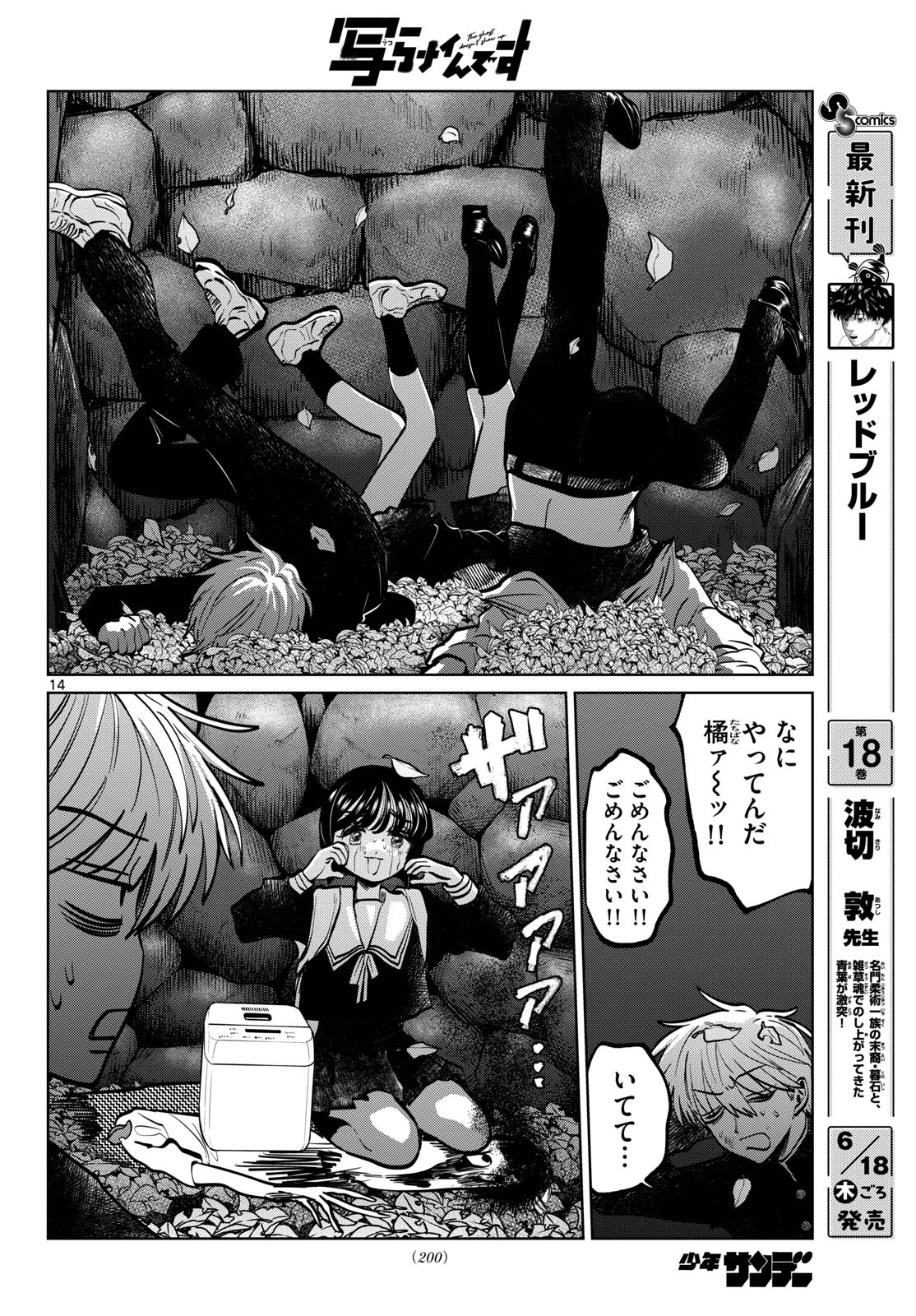 写らナイんです 第101話 - 14